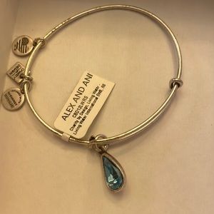 Nwts Alex and Ani clarity by design living water silver charm bracelet expands